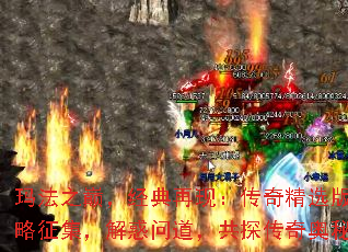 귨ۣ֣֮澫ѡ湥ʵ̽