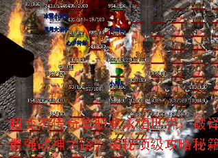 ̬浥ְҵ磺ǿս֮·ضؼ