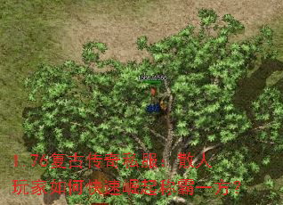 1.76复古传奇私服:散人玩家如何快速崛起称霸一方? 1.76复古传奇私服:散人玩家如何快速崛起称霸一方?