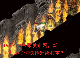 195传奇私服发布网,新手开局如何快速升级打宝? 195传奇私服发布网,新手开局如何快速升级打宝?