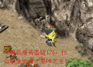 ˽ϻ176ʲôְҵϲPK֮