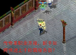 传奇单职业开服,新手如何快速上手称霸服务器? 传奇单职业开服,新手如何快速上手称霸服务器?