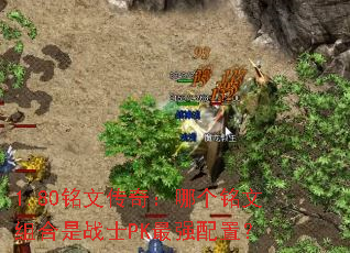 1.80Ĵ棺ĸսʿPKǿã