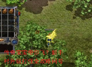 传奇宝宝带你飞?新手村升级打怪全攻略问号 传奇宝宝带你飞?新手村升级打怪全攻略问号