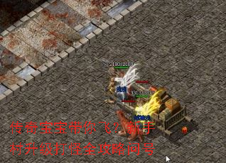 传奇宝宝带你飞?新手村升级打怪全攻略问号 传奇宝宝带你飞?新手村升级打怪全攻略问号