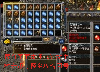 传奇宝宝带你飞?新手村升级打怪全攻略问号 传奇宝宝带你飞?新手村升级打怪全攻略问号