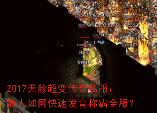 2017ⳬ䴫˽ɢοٷưȫ