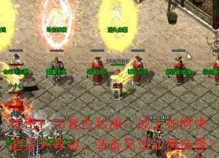 1.76˽սʿοȼװָѡ