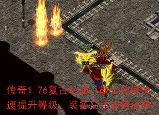1.76˽սʿοȼװָѡ