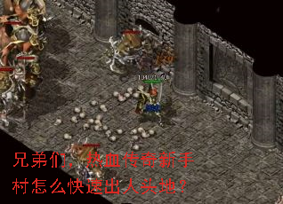 兄弟们,热血传奇新手村怎么快速出人头地? 兄弟们,热血传奇新手村怎么快速出人头地?