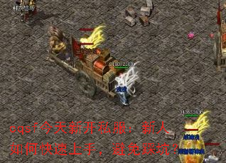 cqsf今天新开私服:新人如何快速上手,避免踩坑? cqsf今天新开私服:新人如何快速上手,避免踩坑?