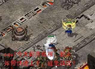 cqsf今天新开私服:新人如何快速上手,避免踩坑? cqsf今天新开私服:新人如何快速上手,避免踩坑?