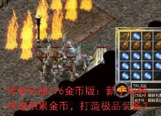 ˽176Ұ棺οٻ۽ң켫Ʒװ