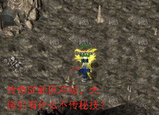 传奇SF新区冲级,大佬们有什么不传秘技? 传奇SF新区冲级,大佬们有什么不传秘技?