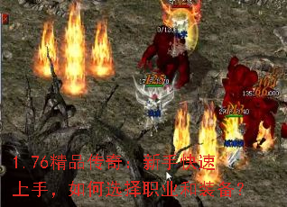 1.76Ʒ棺ֿ֣ѡְҵװ