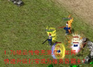 1.76精品传奇无泡点,如何快速升级打宝成为服务器霸主? 1.76精品传奇无泡点,如何快速升级打宝成为服务器霸主?