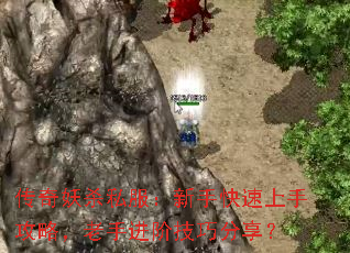 传奇妖杀私服:新手快速上手攻略,老手进阶技巧分享? 传奇妖杀私服:新手快速上手攻略,老手进阶技巧分享?