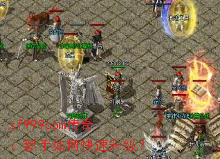 sf999com传奇:新手如何快速升级? sf999com传奇:新手如何快速升级?