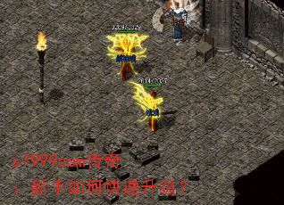 sf999com传奇:新手如何快速升级? sf999com传奇:新手如何快速升级?