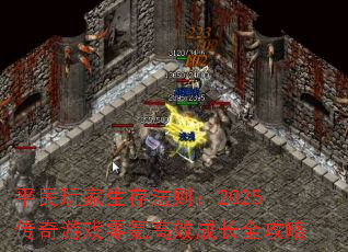 ƽ淨2025Ϸ봸Чɳȫ