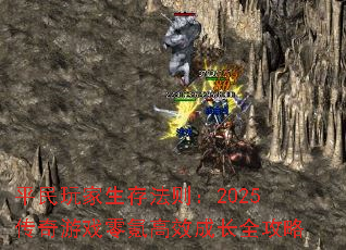 ƽ淨2025Ϸ봸Чɳȫ