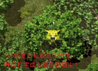 176纯复古私服怎么快速升级打宝成为服务器霸主? 176纯复古私服怎么快速升级打宝成为服务器霸主?