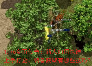 1.76Ҵ棺οִװȡЩɣ