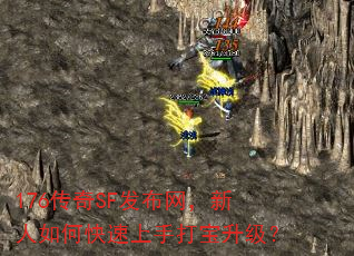 176传奇SF发布网,新人如何快速上手打宝升级? 176传奇SF发布网,新人如何快速上手打宝升级?