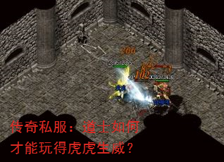 传奇私服:道士如何才能玩得虎虎生威? 传奇私服:道士如何才能玩得虎虎生威?