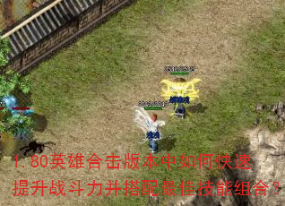 1.80英雄合击版本中如何快速提升战斗力并搭配最佳技能组合? 1.80英雄合击版本中如何快速提升战斗力并搭配最佳技能组合?