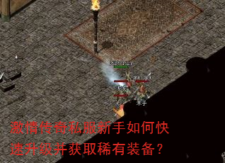 激情传奇私服新手如何快速升级并获取稀有装备? 激情传奇私服新手如何快速升级并获取稀有装备?