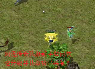 网通传奇私服新手如何快速升级并获取极品装备? 网通传奇私服新手如何快速升级并获取极品装备?