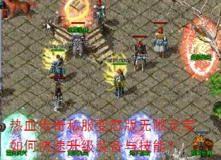 热血传奇私服变态版无限元宝如何快速升级装备与技能? 热血传奇私服变态版无限元宝如何快速升级装备与技能?