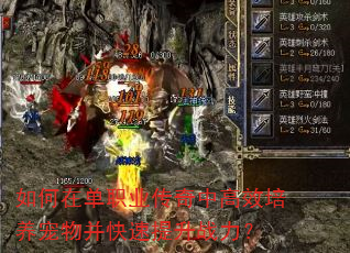 如何在单职业传奇中高效培养宠物并快速提升战力? 如何在单职业传奇中高效培养宠物并快速提升战力?