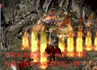 传奇私服国际版十大名人有哪些独门技巧与装备搭配心得? 传奇私服国际版十大名人有哪些独门技巧与装备搭配心得?