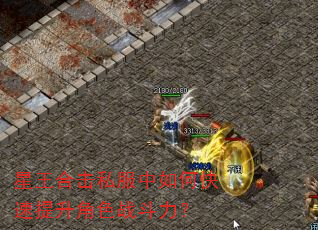 星王合击私服中如何快速提升角色战斗力? 星王合击私服中如何快速提升角色战斗力?