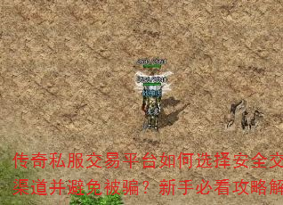 传奇私服交易平台如何选择安全交易渠道并避免被骗?新手必看攻略解析 传奇私服交易平台如何选择安全交易渠道并避免被骗?新手必看攻略解析