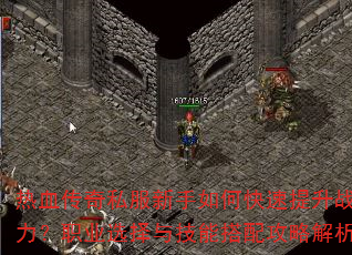 热血传奇私服新手如何快速提升战力?职业选择与技能搭配攻略解析 热血传奇私服新手如何快速提升战力?职业选择与技能搭配攻略解析