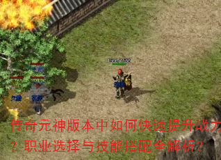 传奇元神版本中如何快速提升战力?职业选择与技能搭配全解析? 传奇元神版本中如何快速提升战力?职业选择与技能搭配全解析?