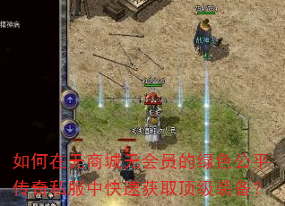 ̳޻Աɫƽ˽пٻȡװ