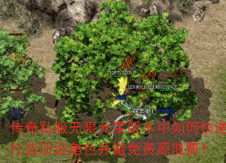 传奇私服无限元宝版本中如何快速打造顶级角色并避免资源浪费? 传奇私服无限元宝版本中如何快速打造顶级角色并避免资源浪费?