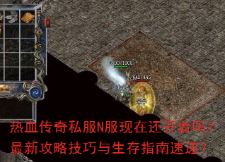 热血传奇私服N服现在还开着吗?最新攻略技巧与生存指南速递? 热血传奇私服N服现在还开着吗?最新攻略技巧与生存指南速递?