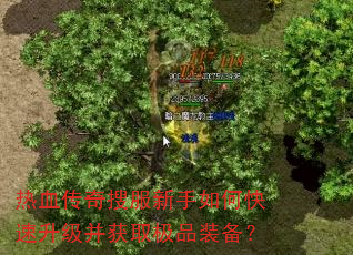 热血传奇搜服新手如何快速升级并获取极品装备? 热血传奇搜服新手如何快速升级并获取极品装备?