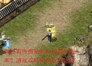 有没有传奇私服和仿盛大版本?游戏攻略全解析在这里 有没有传奇私服和仿盛大版本?游戏攻略全解析在这里