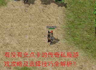 有没有充点卡的传奇私服游戏攻略及选择技巧全解析? 有没有充点卡的传奇私服游戏攻略及选择技巧全解析?