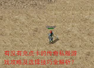 有没有充点卡的传奇私服游戏攻略及选择技巧全解析? 有没有充点卡的传奇私服游戏攻略及选择技巧全解析?