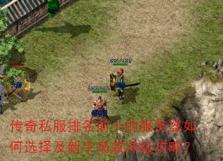 传奇私服排名前十的服务器如何选择及新手高效冲级攻略? 传奇私服排名前十的服务器如何选择及新手高效冲级攻略?