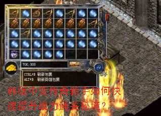 韩版中变传奇新手如何快速提升战力通关秘境? 韩版中变传奇新手如何快速提升战力通关秘境?