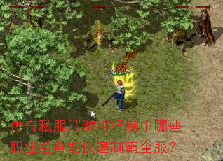 传奇私服端游排行榜中哪些职业组合能快速制霸全服? 传奇私服端游排行榜中哪些职业组合能快速制霸全服?