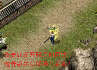 传奇SF新开服后如何快速升级并获取稀有装备? 传奇SF新开服后如何快速升级并获取稀有装备?